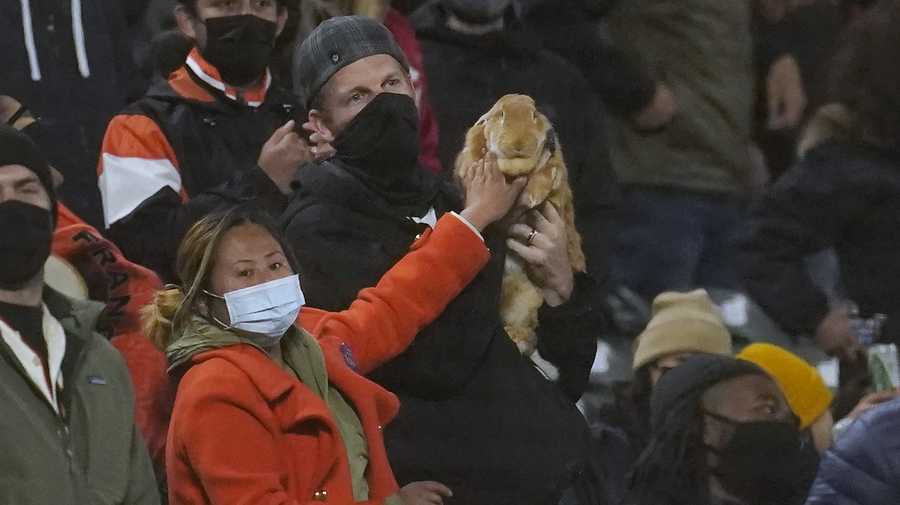 Kei Kato, left, and her fiance, Josh Row, hold a therapy rabbit named Alex during the ninth inning of a baseball game between the San Francisco Giants and the Miami Marlins in San Francisco, Thursday, April 22, 2021. (AP Photo/Jeff Chiu)