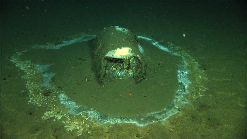 Up to 25,000 barrels at DDT dump site off SoCal coast, scientists say - Vimarsana News