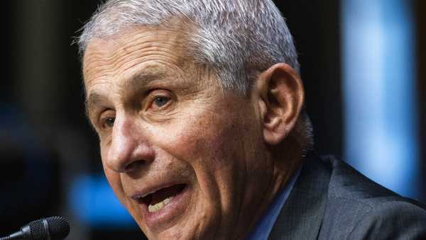 Dr. Anthony Fauci  (Jim Lo Scalzo/Pool via AP, File)