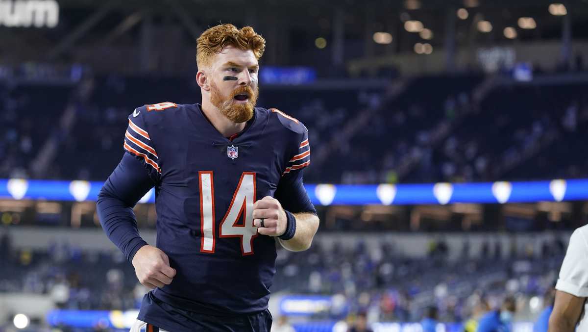 Andy Dalton on signing with the Bears: 'They told me I was the