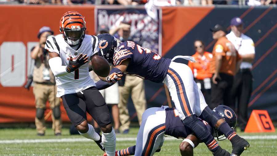 Bengals lose to Bears in football game Sunday, 20-17