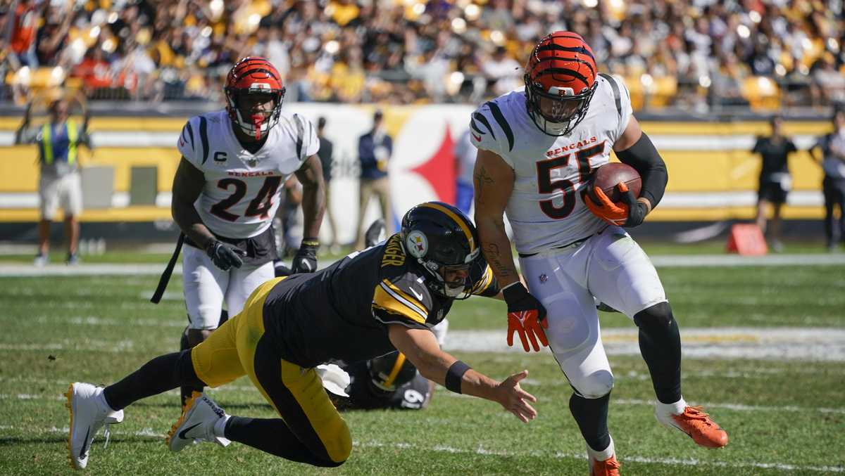 Steelers' struggles evident in 24-10 loss to the Bengals - Behind