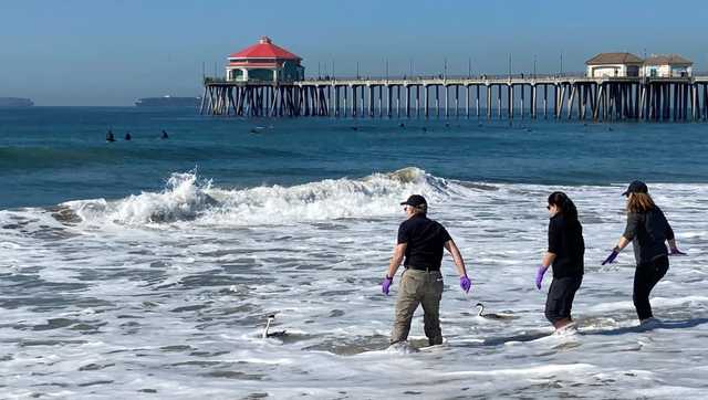 Huntington Beach, Coast Guard investigate 'sheen' in ocean water