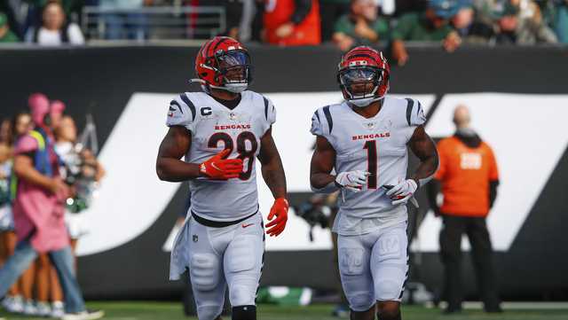 Cincinnati Bengals Ja'Marr Chase, Trey Hendrickson and Joe Mixon Named To  2022 AFC Pro Bowl Team