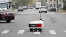 A food delivery robot crosses a street A food delivery robot crosses a street