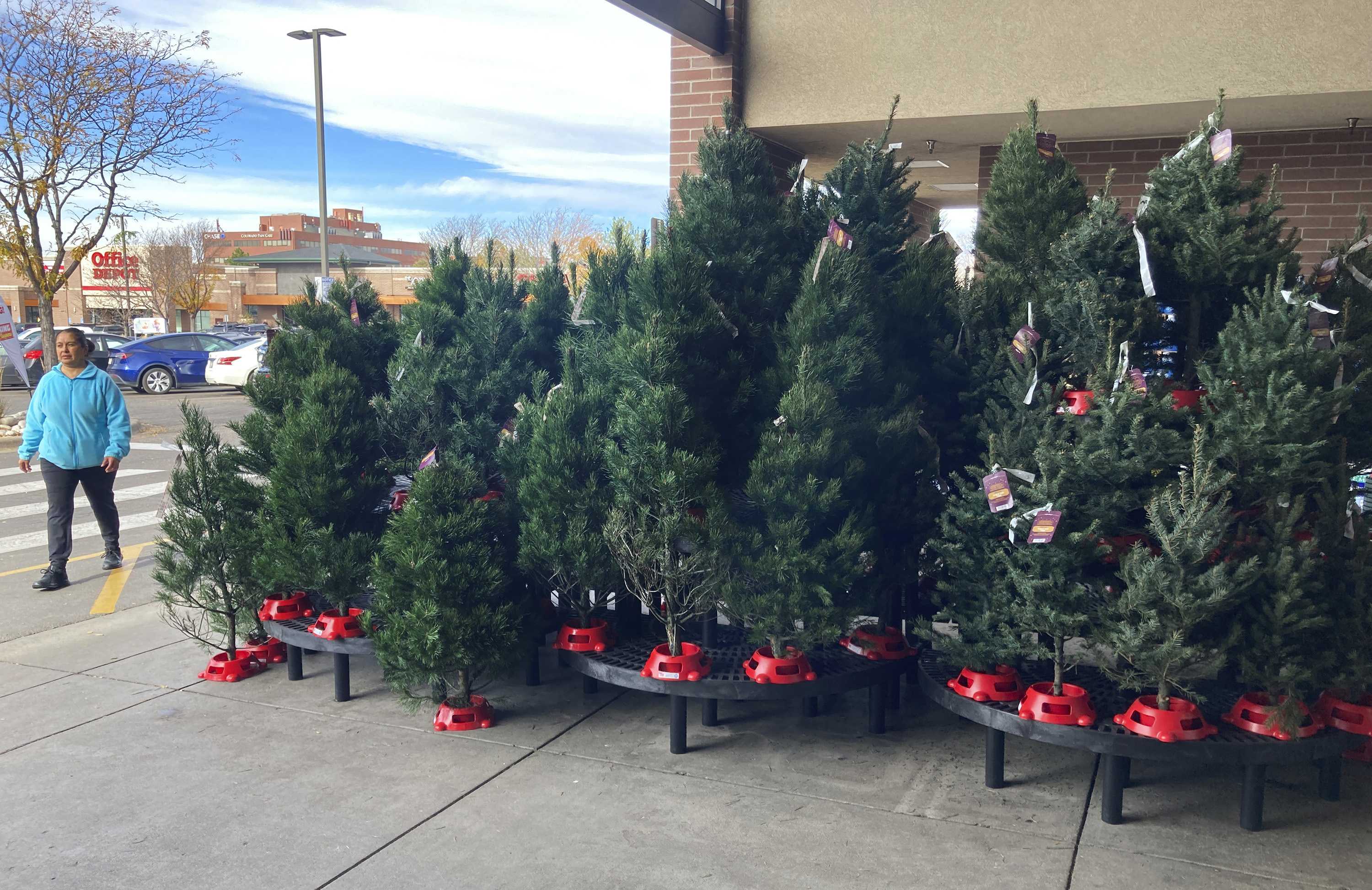 Expect To Pay More For Christmas Trees Experts Say 4state News Mo Ar Ks Ok