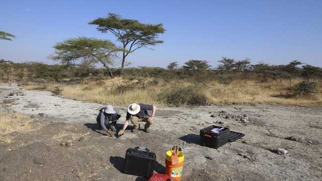 Fossil footprints puzzle scientists: Bear or ancient human? - Vimarsana News