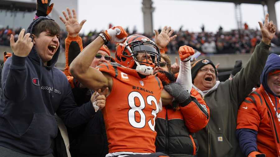 Worst to first: Bengals clinch AFC North title with win over the