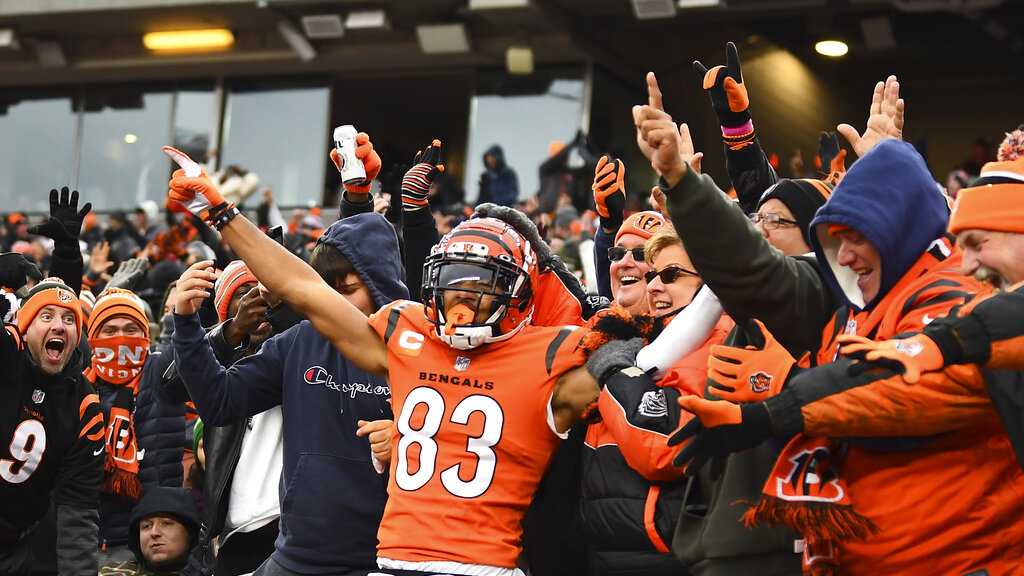 Cincinnati Bengals celebrate their first AFC North title since 2015