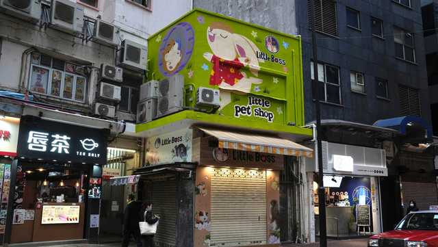 Hong Kong to kill 2,000 animals after hamsters get COVID-19 - Vimarsana News
