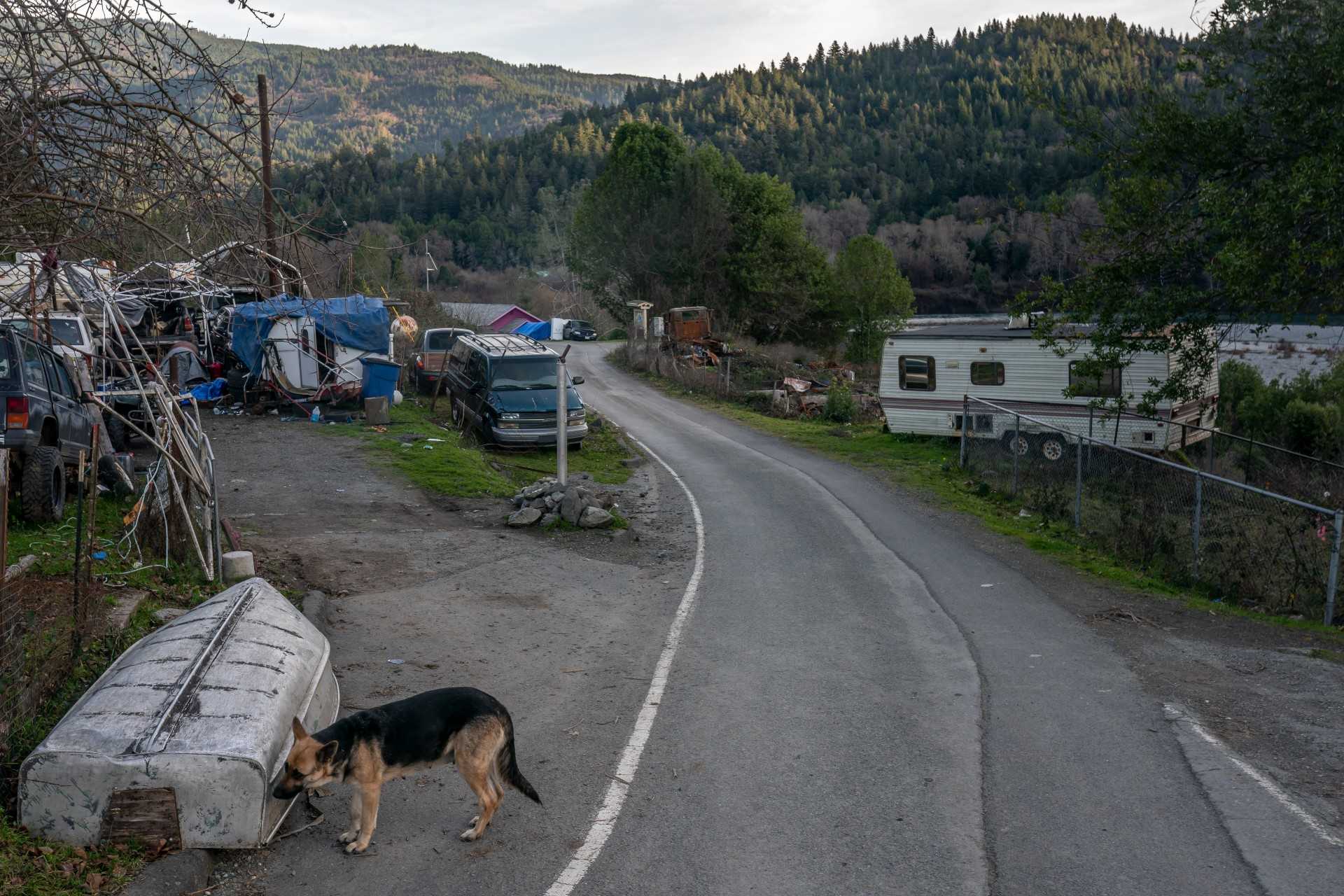 Young mom among string of missing Indigenous women in California - WMTW