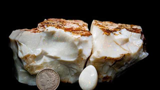 Huge opal sells for $125,000 at Alaska auction - Vimarsana News