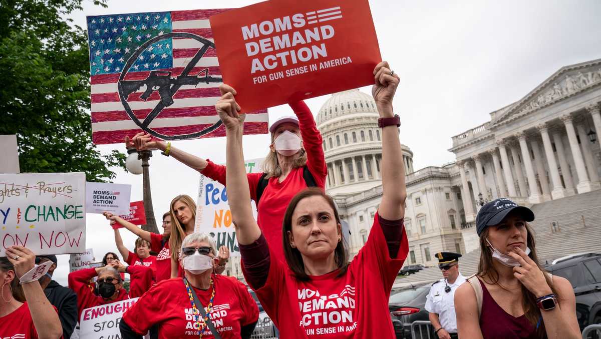 Senators on expanded gun background checks, red flag laws
