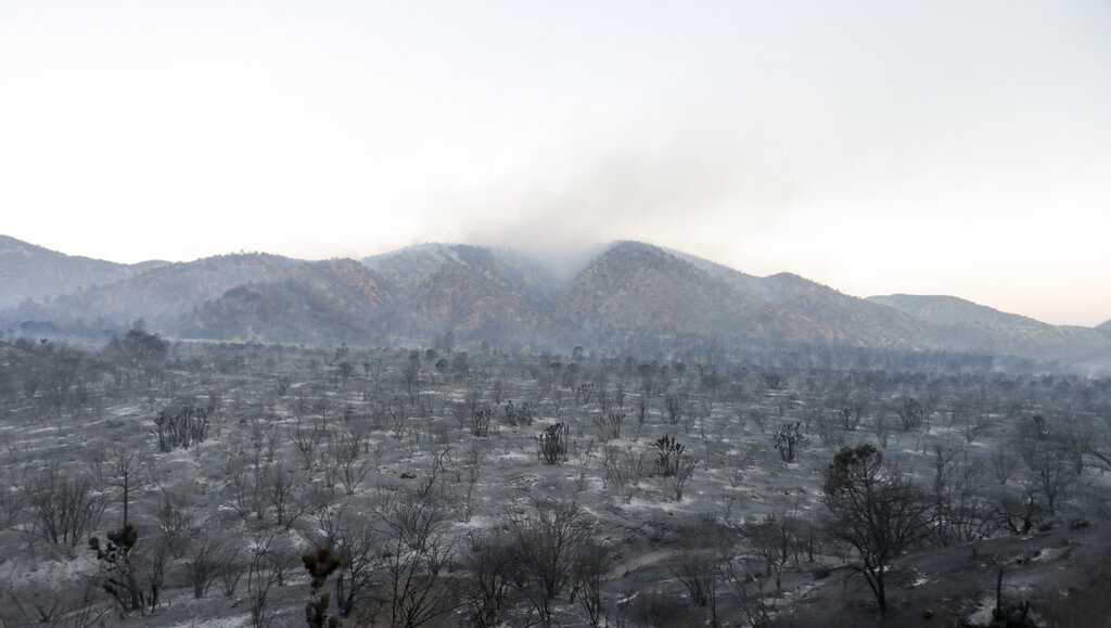 Western wildfires force evacuations in Arizona, California - Vimarsana News