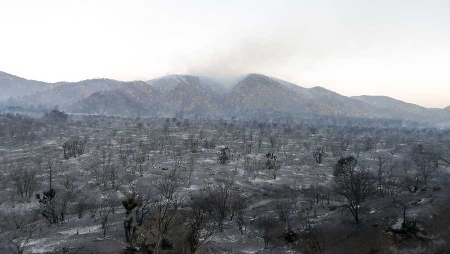 A burnt area is seen after the Sheep fire burnig in Wrightwood, Calif., Monday, June 13, 2022. (AP Photo/Ringo H.W. Chiu)