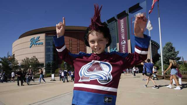 NHL experiencing sustained growth with female, younger fans - Vimarsana News