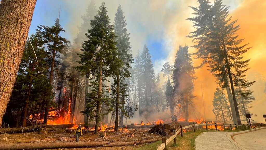 Campground evacuated as fire threatens Yosemite’s Mariposa Grove, home to more than 500 giant sequoia trees