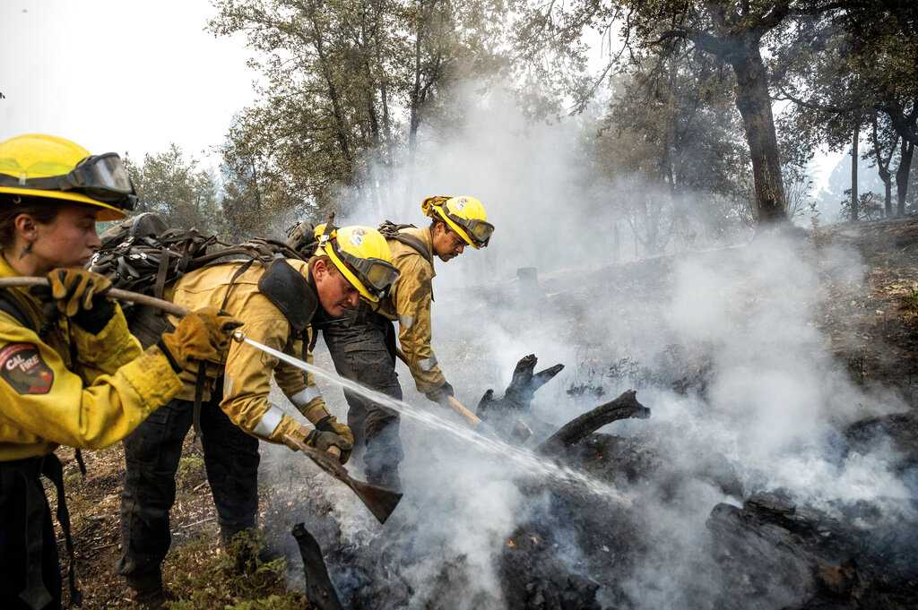 Oak Fire destroys 116 homes other structures near Yosemite