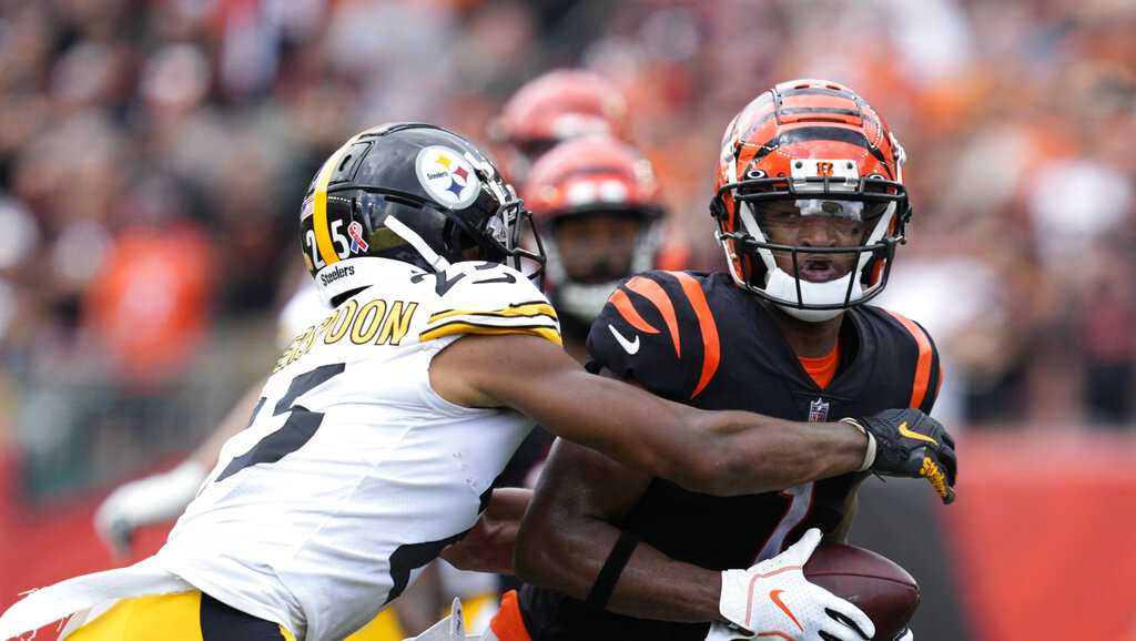 Steelers beat Bengals with late OT FG after T.J. Watt injured