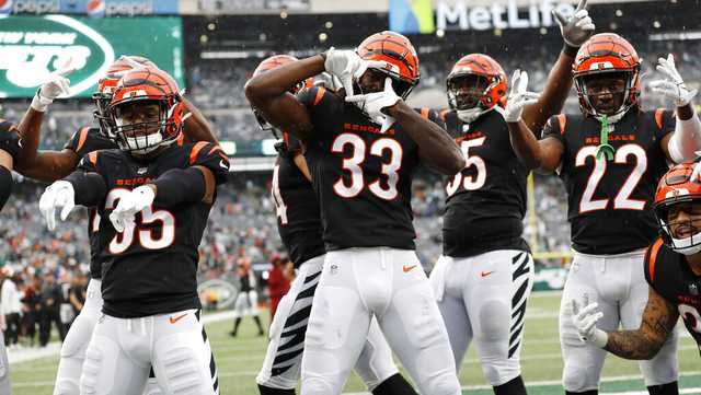 Winning is fun': Relieved Bengals now look for momentum NFL green