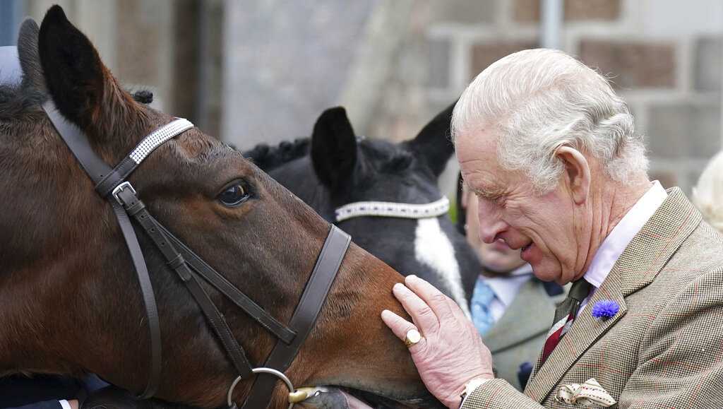 King Charles III to be crowned May 6 next year at Westminster Abbey, palace says - WTAE Pittsburgh