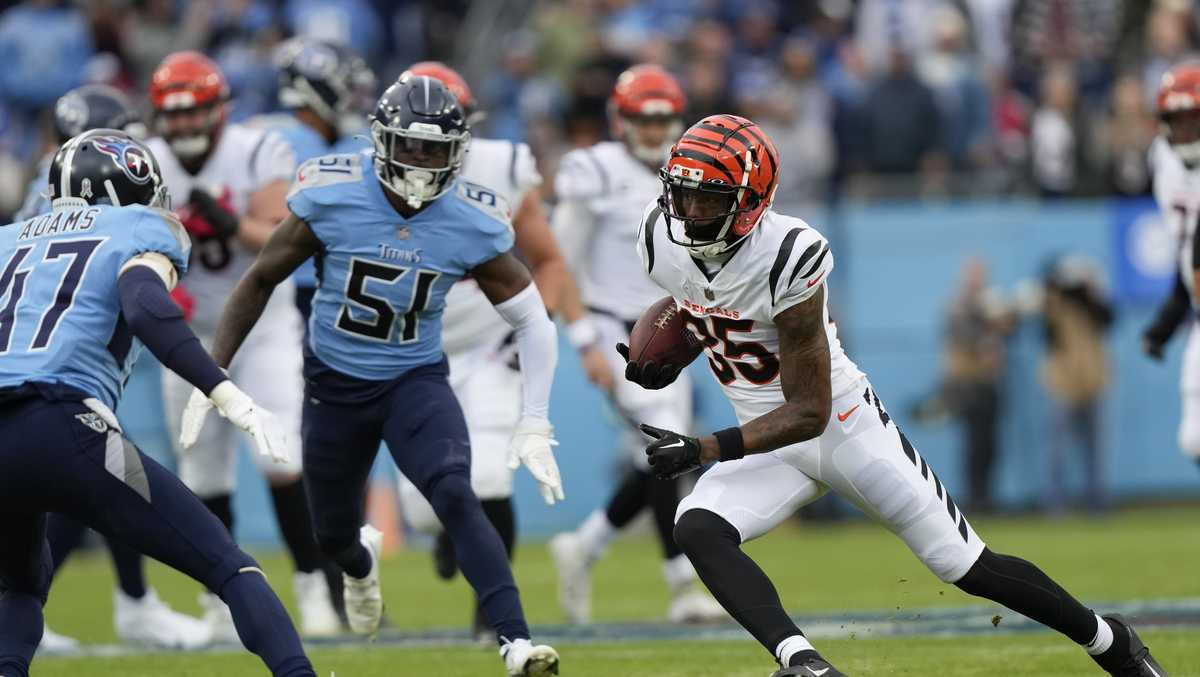 Samaje Perine Run  Week 12 Bengals Highlights vs. Tennessee Titans