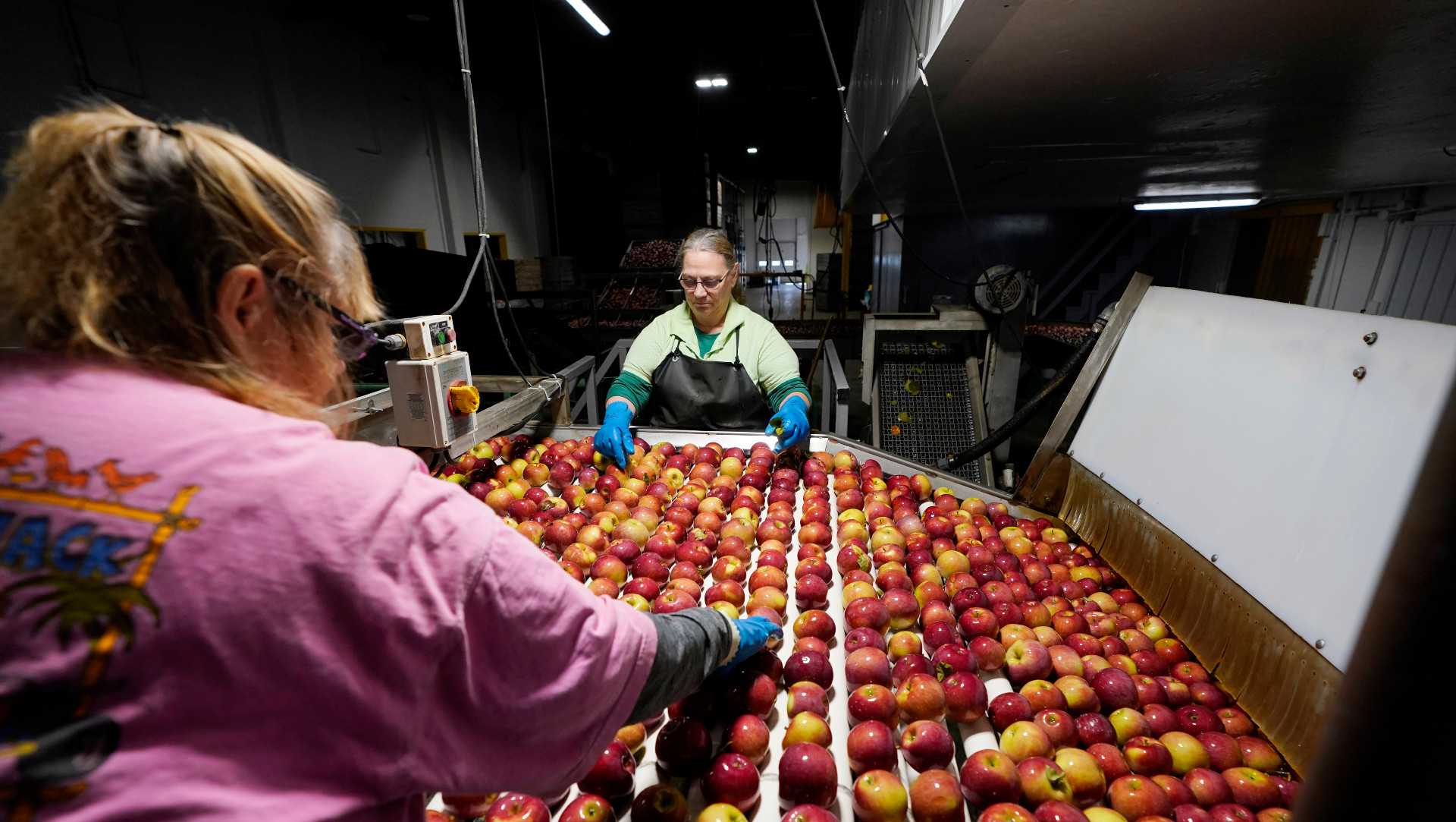 Fight to curb food waste increasingly turns to science - Vimarsana News