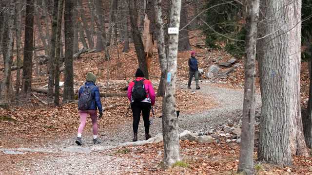 Where to join a First Day Hike in Massachusetts: 2024 - Vimarsana News