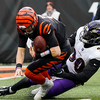 Bengals beat Ravens avoiding coin flip, set up home rematch