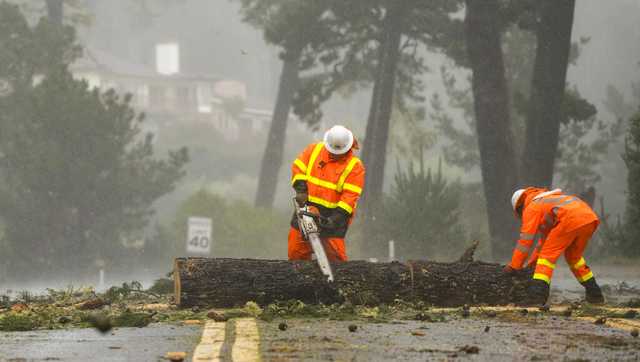Highway 1 closed near Point Lobos due to falling tree dangers - Vimarsana News