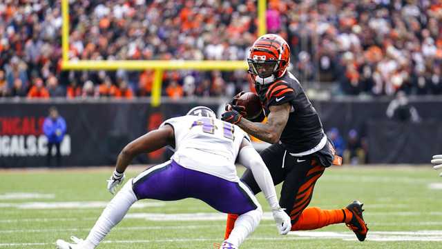 Baltimore Ravens at Cincinnati Bengals free live stream: How to