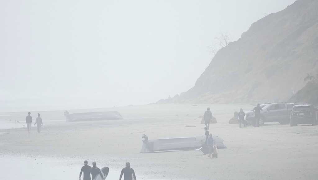8 dead after smuggling boat capsizes off San Diego coast - Vimarsana News