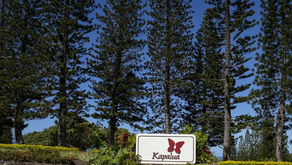 Tourism resumes in West Maui as hotels back visitors