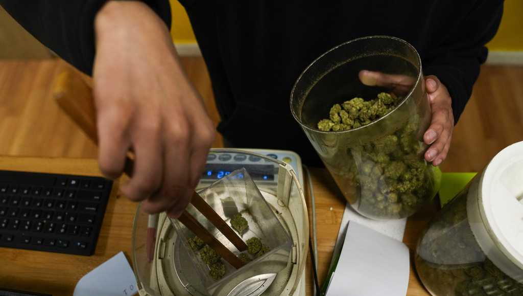 What marijuana reclassification means for the US - Vimarsana News