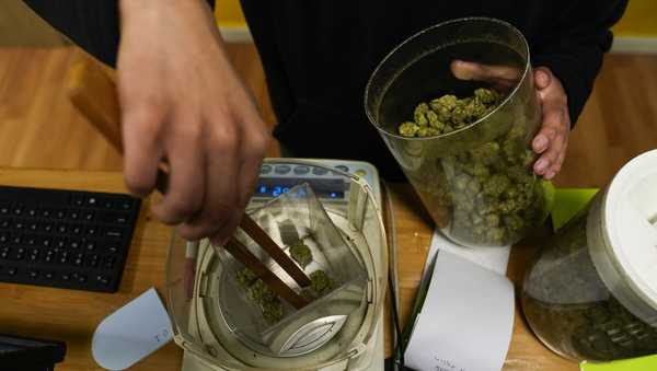 Budtender Rey Cruz weighs cannabis for a customer at the Marijuana Paradise on Friday, April 19, 2024, in Portland, Ore. (AP Photo/Jenny Kane)