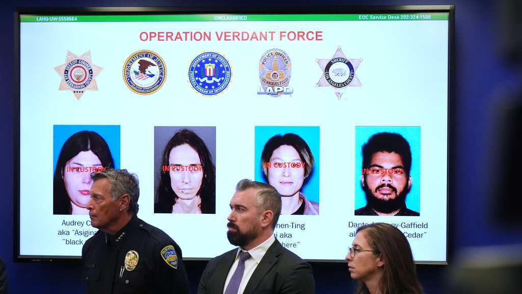 Suspects plead not guilty in Southern California New Year's Eve bombing plot