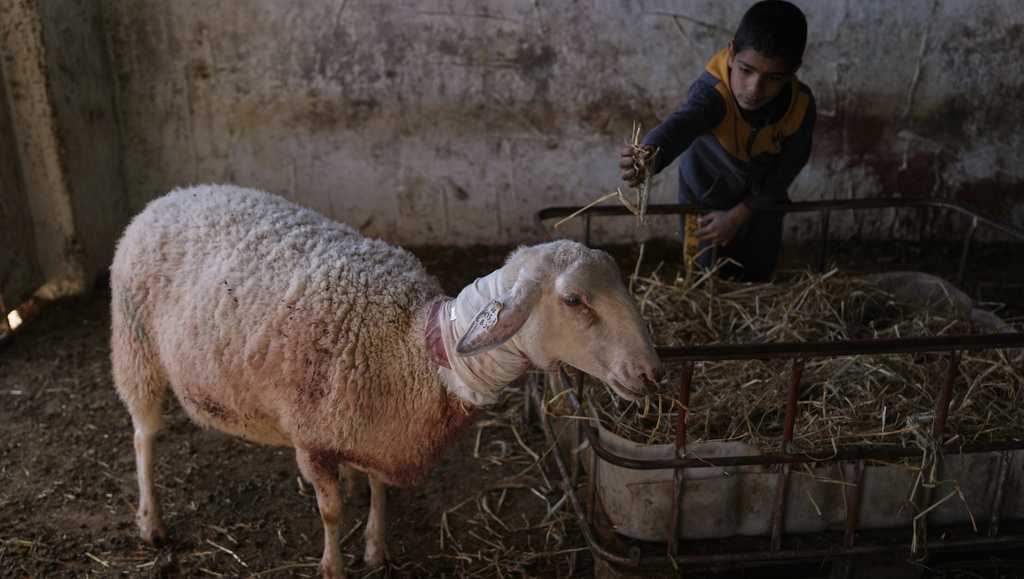 Israeli settlers forcibly enter Palestinian home in latest West Bank attack