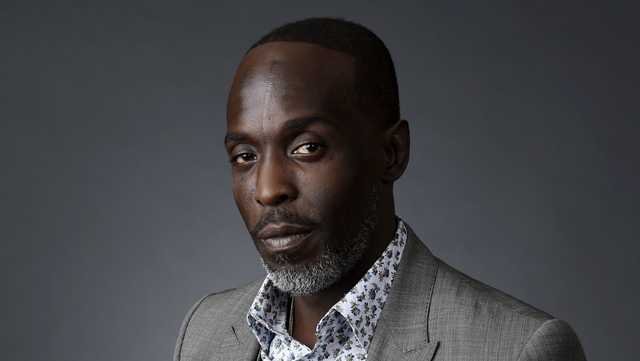 Dealer pleads guilty in overdose death of Michael K. Williams - Vimarsana News