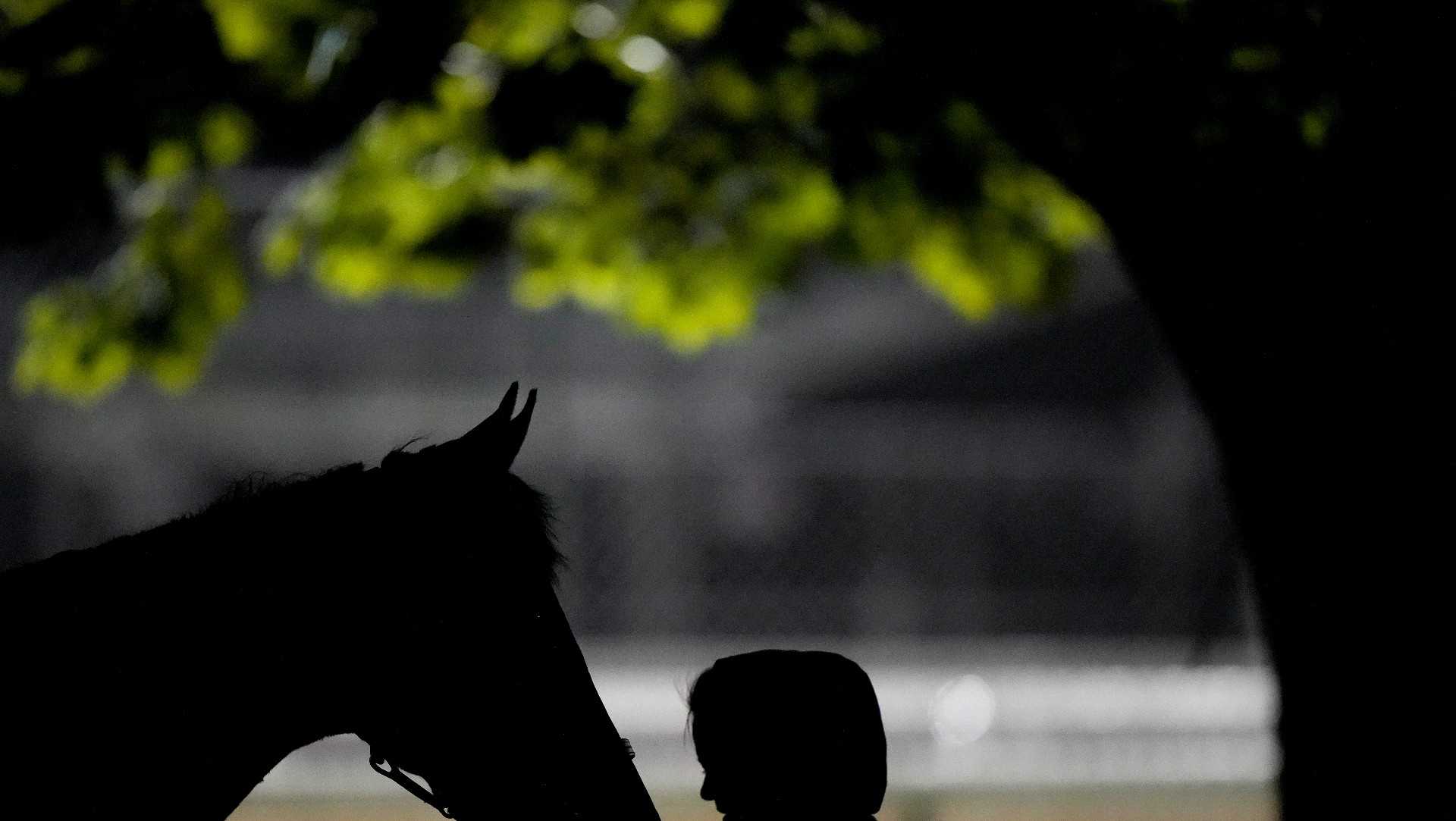 Churchill Downs investigates 4 horse deaths ahead of Derby - Vimarsana News
