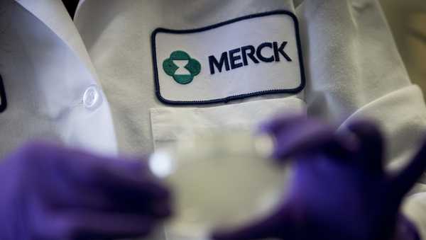 A Merck scientist conducts research on Feb. 28, 2013, in West Point, Pa. Merck is suing the federal government Tuesday, June 6, 2023, over a plan to negotiate Medicare drug prices, calling the program a sham equivalent to extortion. The drugmaker is seeking to halt the program, which was laid out in the Inflation Reduction Act and is expected to save taxpayers billions of dollars in the coming years. (AP Photo/Matt Rourke, File)
