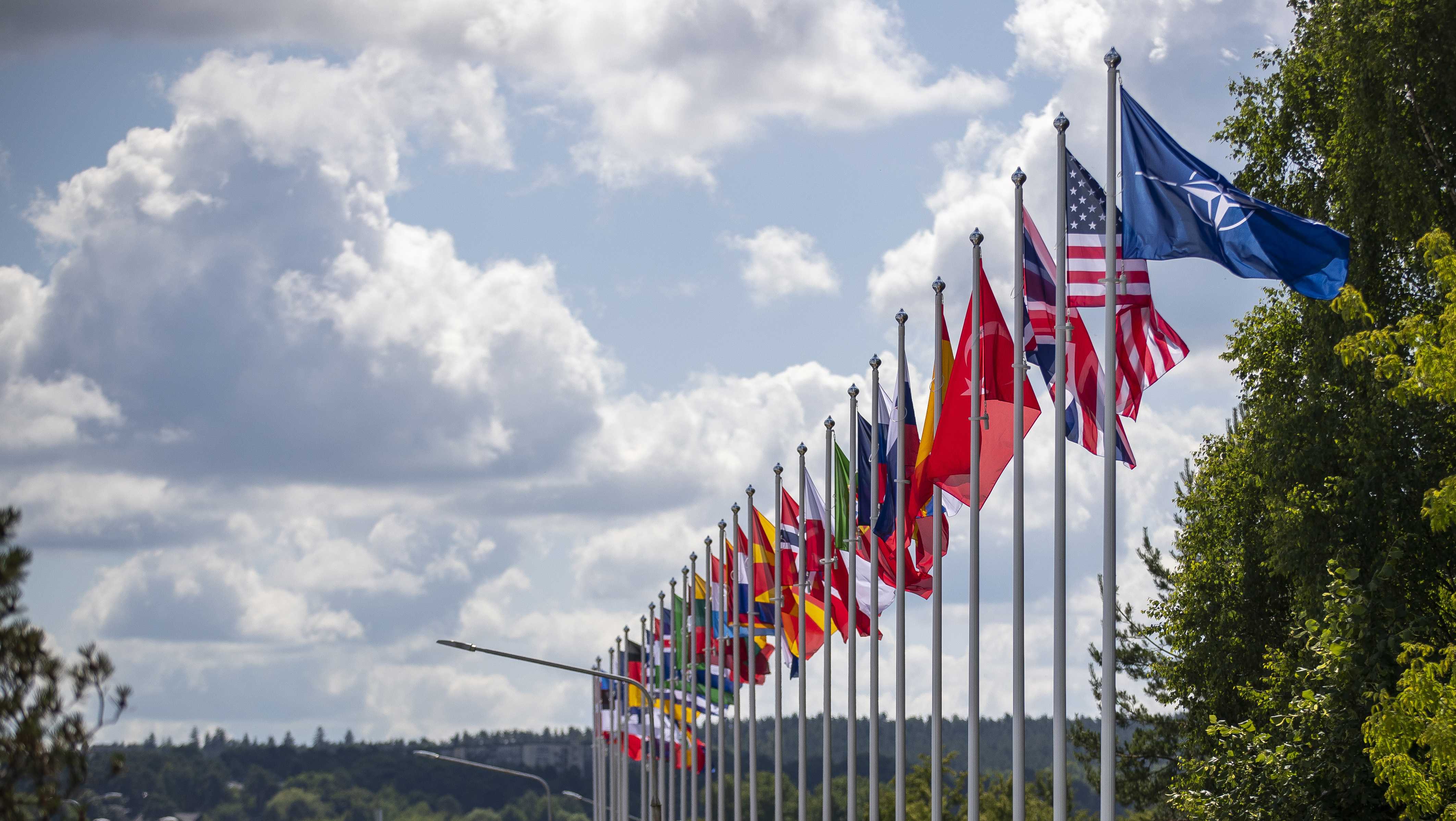 NATO unity will be tested at upcoming summit. Ukraine's possible entry may be the biggest challenge - Vimarsana News