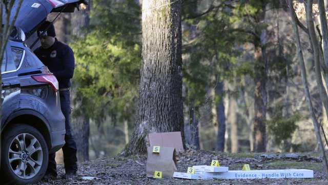 US sets milestone with new record for the deadliest six months of mass killings - Vimarsana News