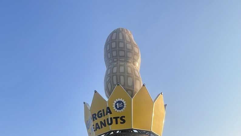 The Big Peanut once again reigns at the roadside in Georgia, after hurricane felled earlier goober - Vimarsana News