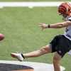 Cincinnati Bengals punter Drue Chrisman (4) warms up on the sideline during  an NFL preseason football game against the New York Giants, Sunday, Aug.  21, 2022 in East Rutherford, N.J. The Giants