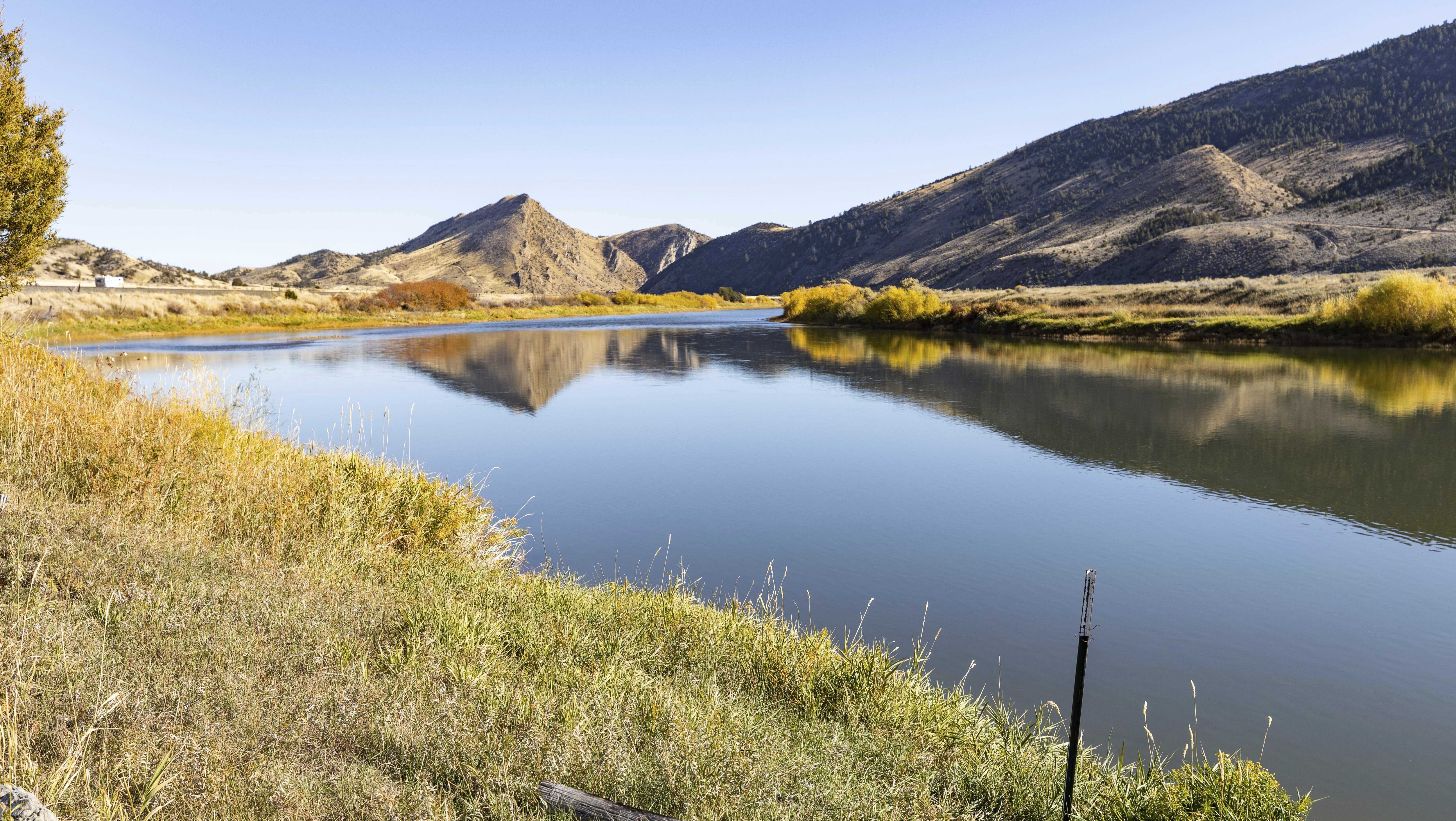 Otter injures three women in popular Montana river - Vimarsana News