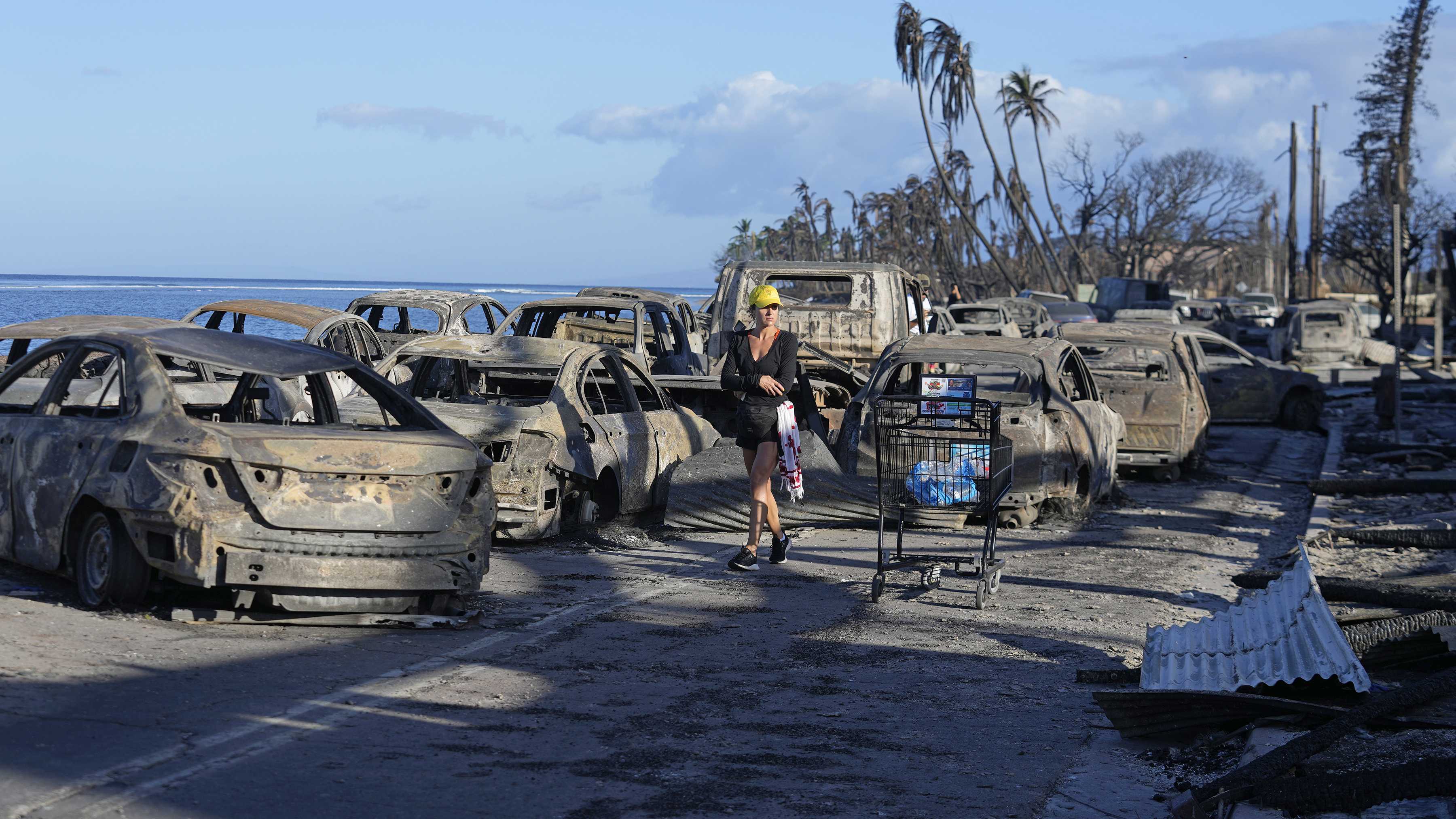 As flames swallowed Maui, survivors made harrowing escapes - Vimarsana News