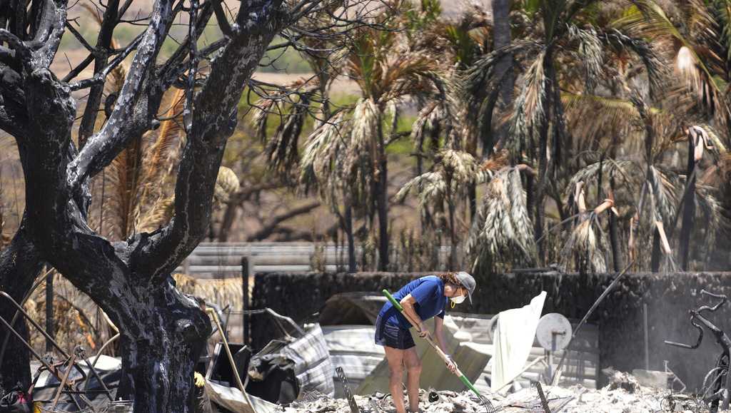 The New Yorker: Why Maui Burned