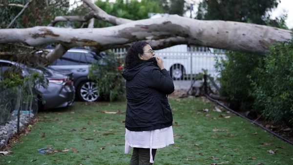 Maura Taura surveys the damaged cause by a downed tree outside her home after Tropical Storm Hilary went through Monday, Aug. 21, 2023, in Sun Valley, Calif. (AP Photo/Marcio Jose Sanchez)