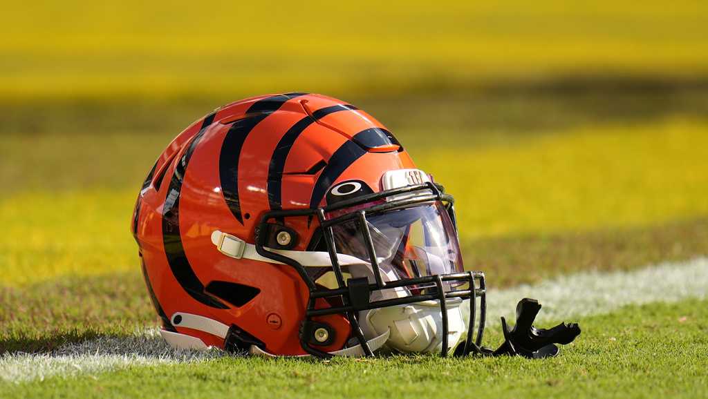 Allan George is back and ready to make an impact with the Bengals