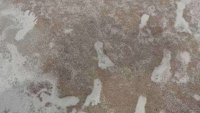 Evidence points to footprints in New Mexico as oldest sign of humans in Americas - Vimarsana News